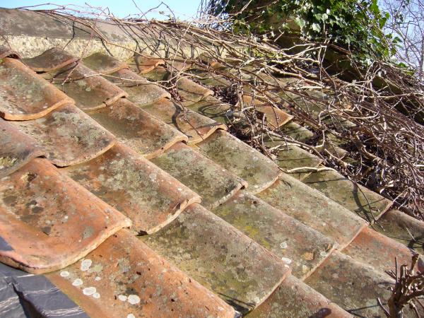 Roof tile